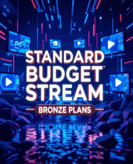 Bronze Budget Plan 12 Months